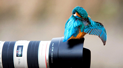 This is photo description